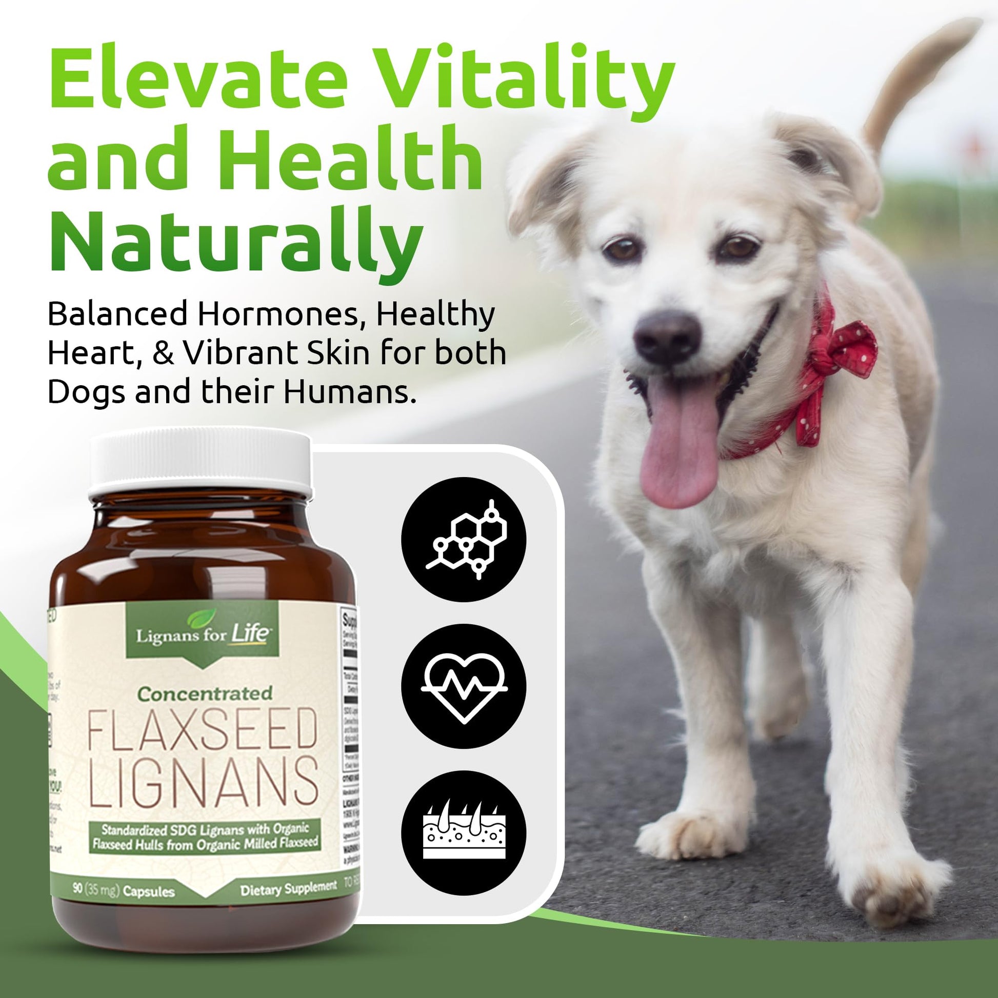 Lignans For Life 90 vegetarian capsules adrenal support for pets supplement back facts