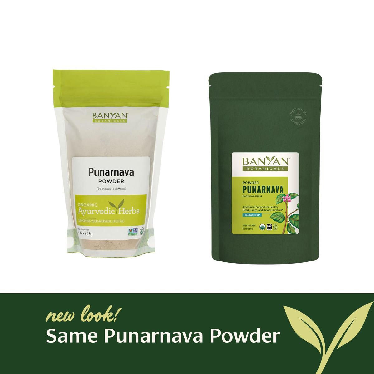 Banyan Botanicals Punarnava Powder for Kapha rejuvenation back panel view