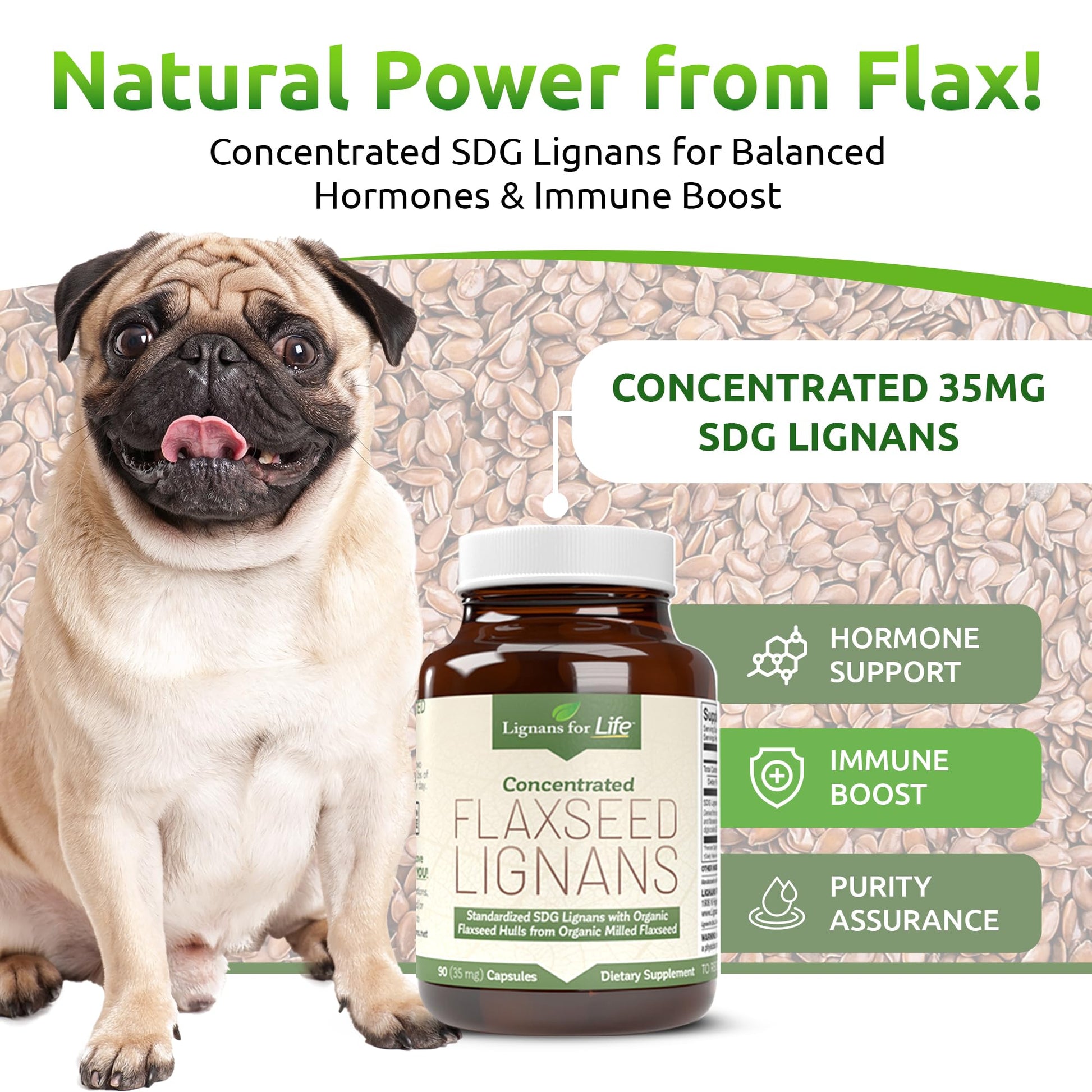 Lignans For Life flaxseed hull powder vegetarian capsules clear product view