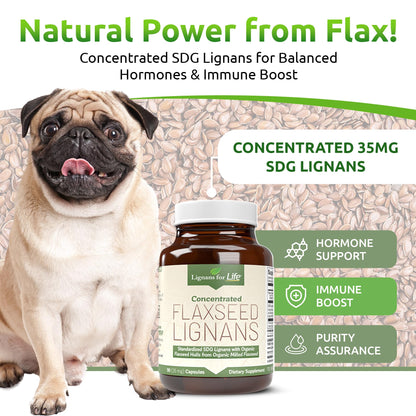 Lignans For Life flaxseed hull powder vegetarian capsules clear product view