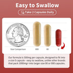 Elephant Dad CoQ10 and Nattokinase capsule bottle display