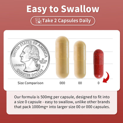 Elephant Dad CoQ10 and Nattokinase capsule bottle display