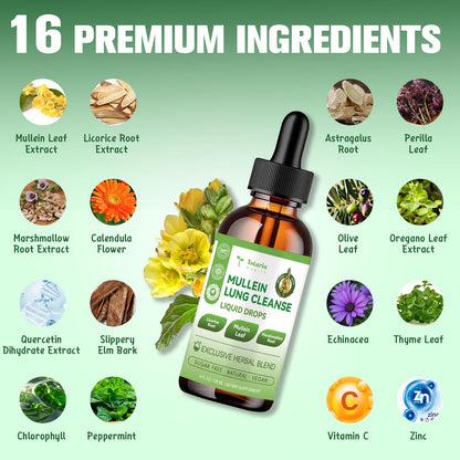 Close up of Totaria Mullein lung cleanse liquid supplement