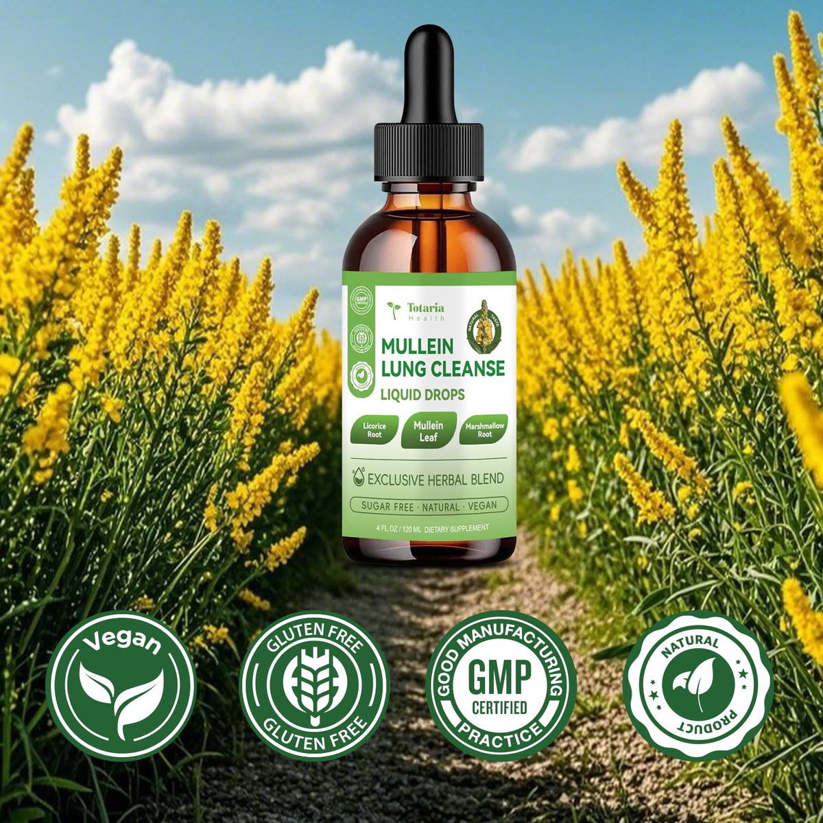 Sugar-free Totaria Mullein herbal drops bottle profile