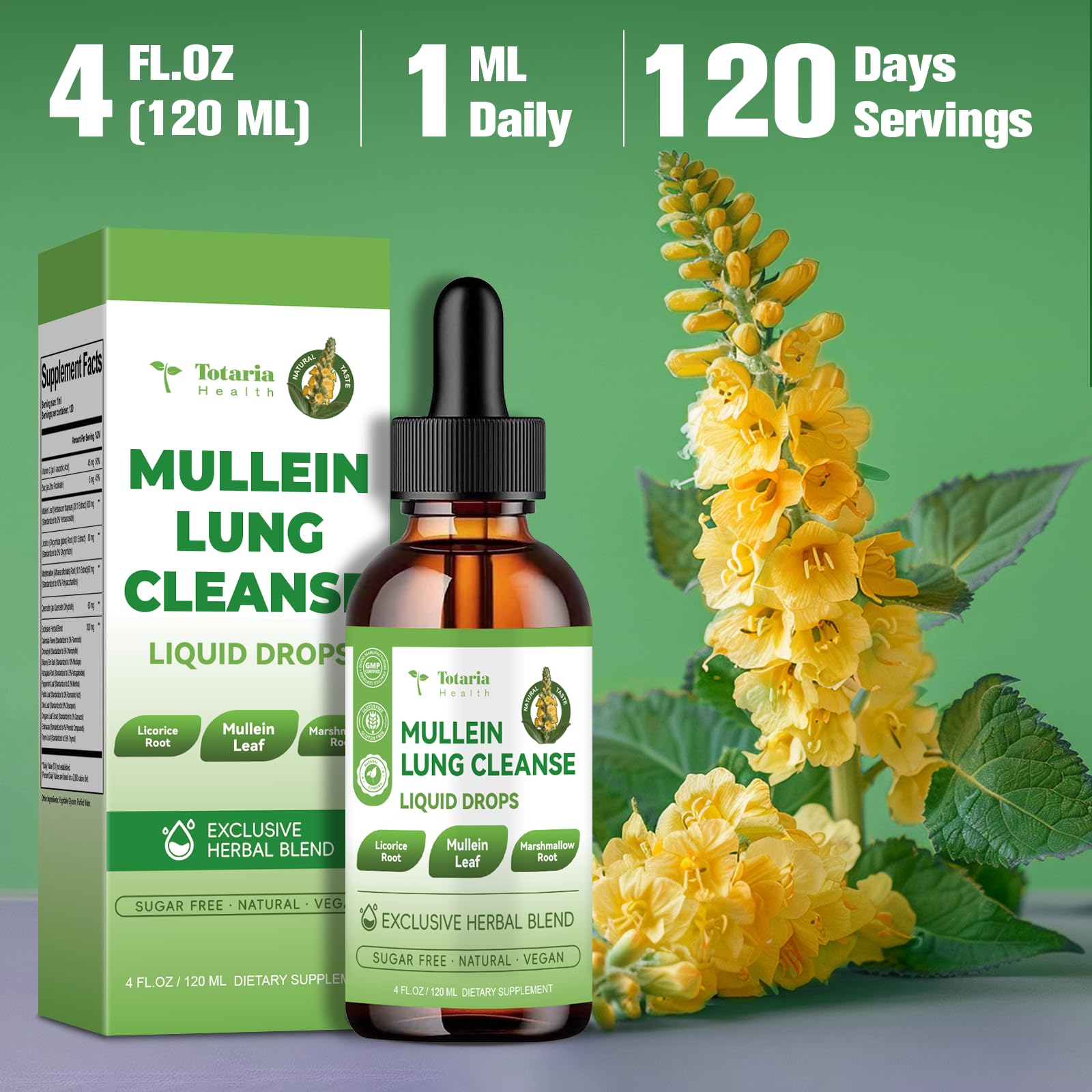 Totaria Mullein drops for lung detox and immune wellness