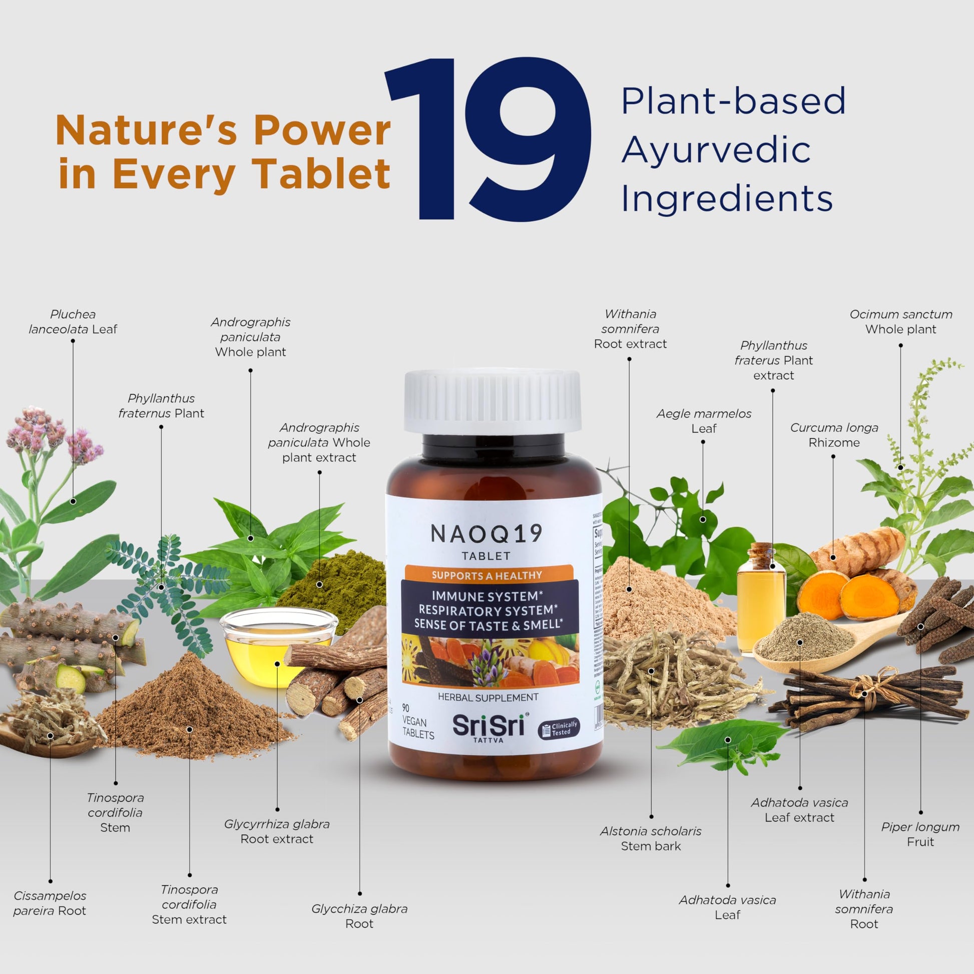 Side view of Naoq19 herbal tablets bottle showing ingredients