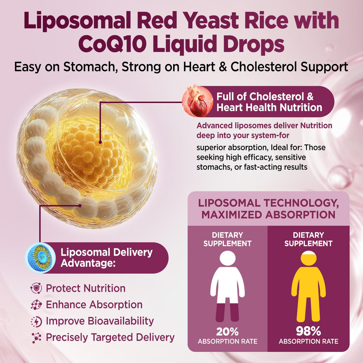 Hollegend 1200mg Red Yeast Rice and CoQ10 supplement ingredient profile