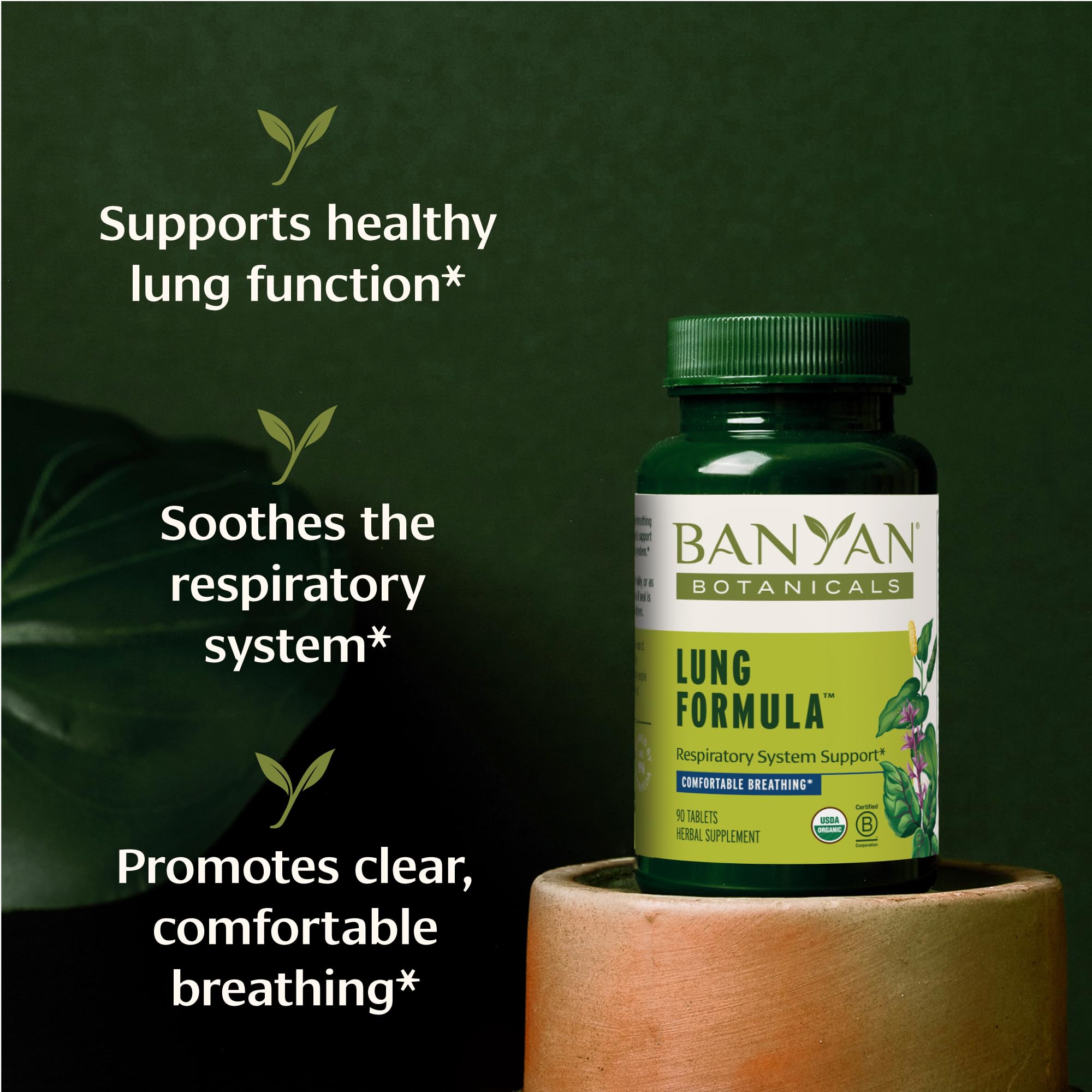 Back of Banyan Botanicals Lung Formula bottle showing supplement facts