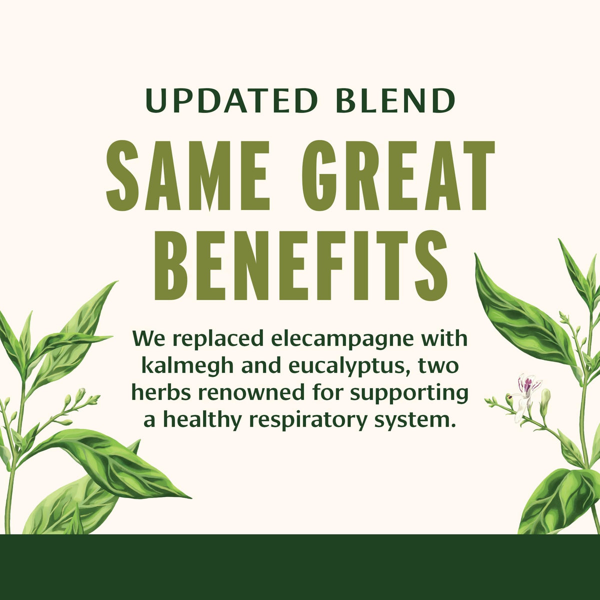 Banyan Botanicals Lung Formula bottle with USDA organic certification seal