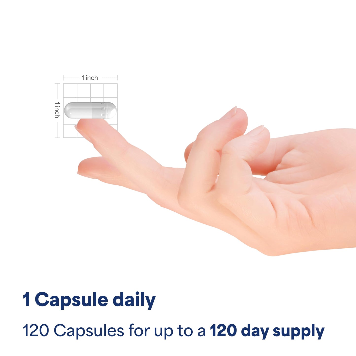 Red Yeast Rice 600 Milligrams dietary supplement bottle angled view