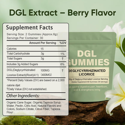 Back label of Wdvnex DGL digestive support gummies