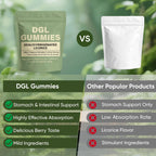 Shrida Foods DGL supplement for gut health