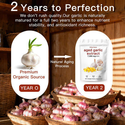 EOQIFJM odorless organic garlic capsules showing supplement facts panel and clean ingredients list