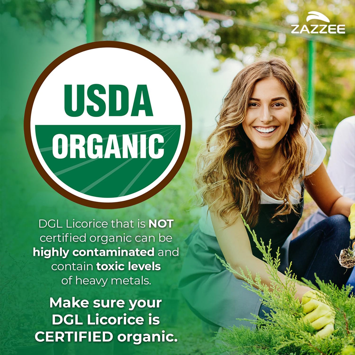 Zazzee Organic DGL Licorice 120 capsules label detail