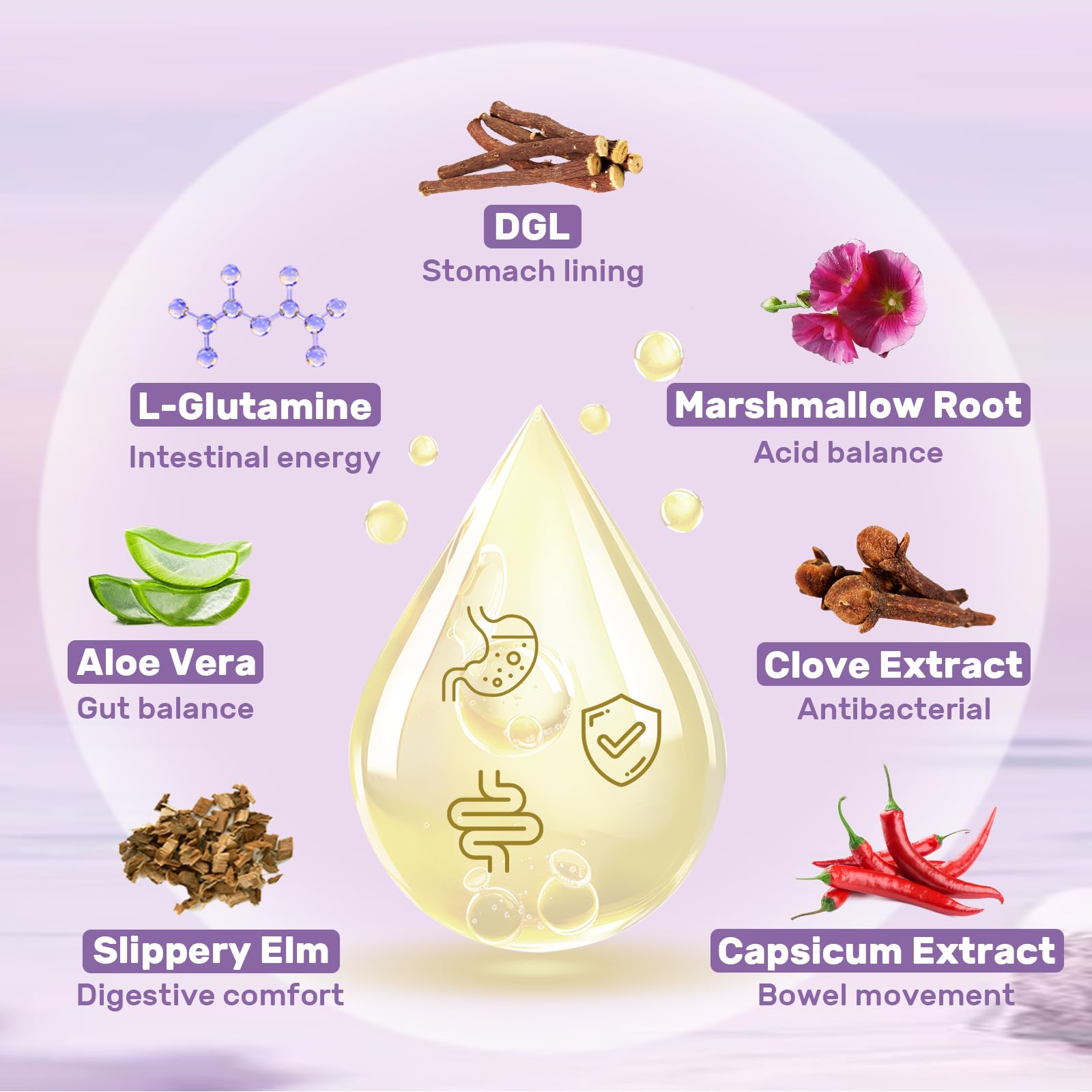 Liposomal DGL liquid dropper bottle close up