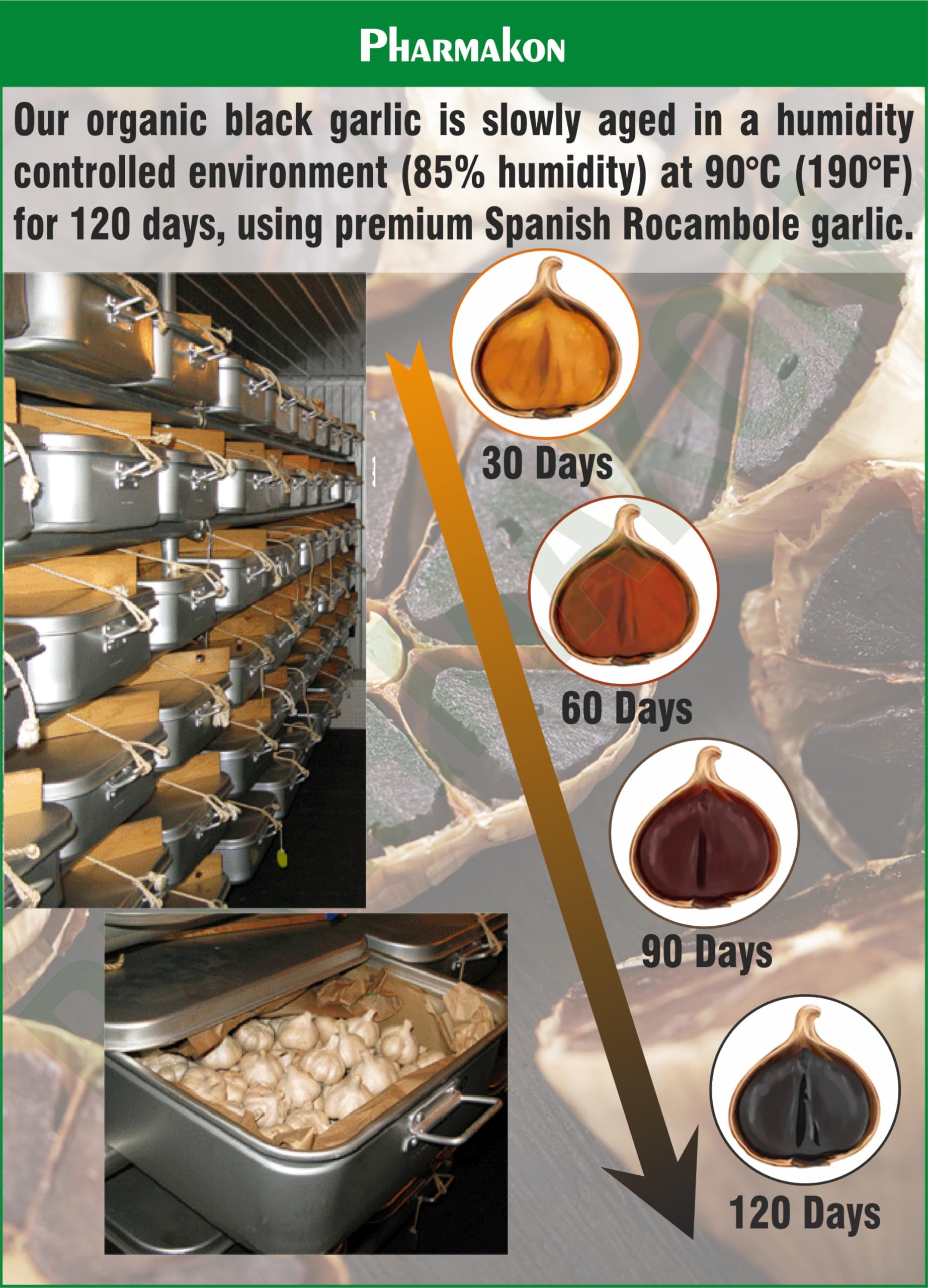 Premium bioavailable Pharmakon aged black garlic dietary softgel capsules for immune support.