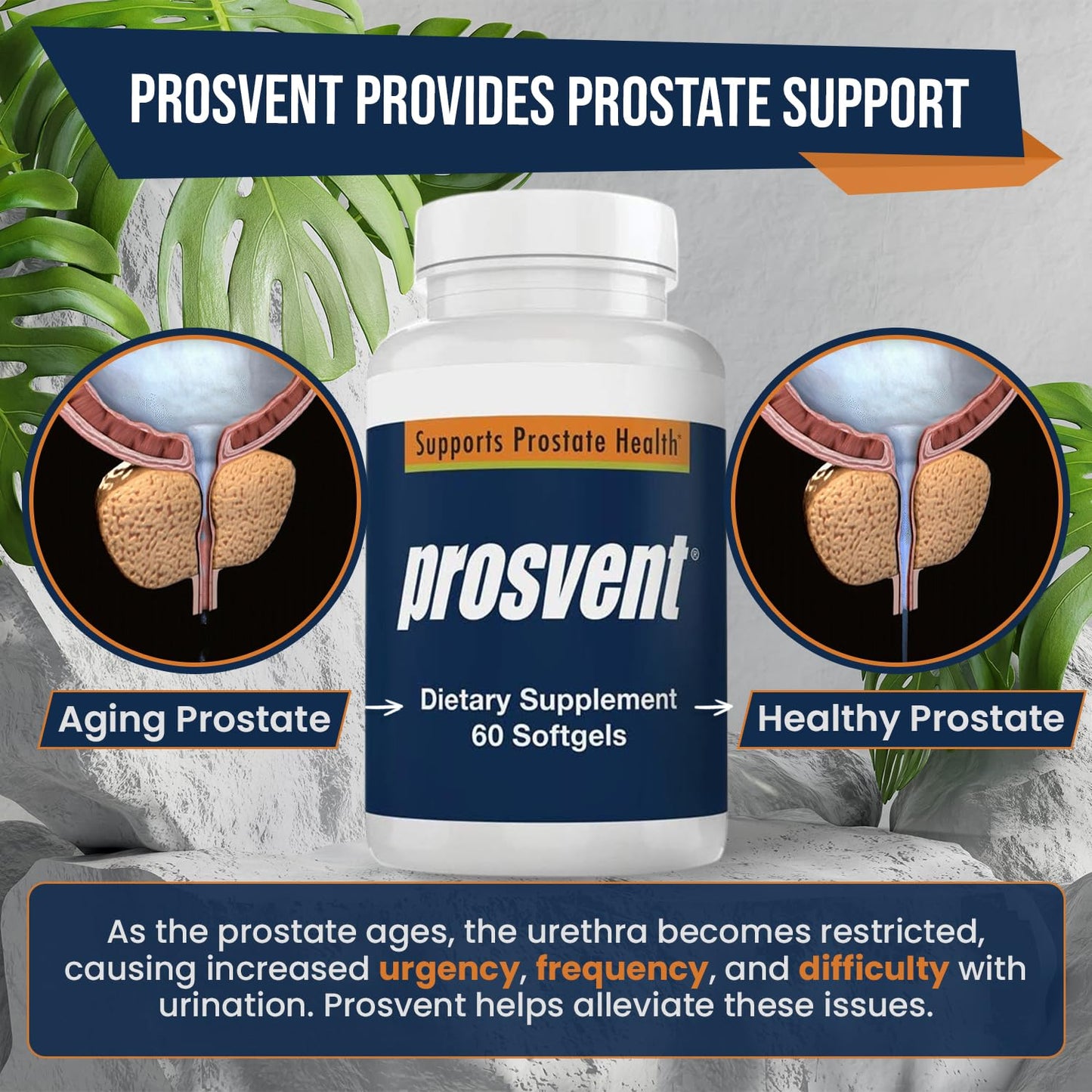 Prosvent natural prostate health supplement sixty count bottle for comprehensive wellness.