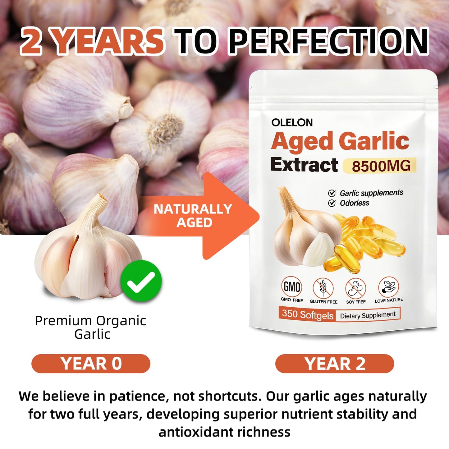 OLELON Aged Garlic 350 softgels showing the high potency odorless supplement facts label details