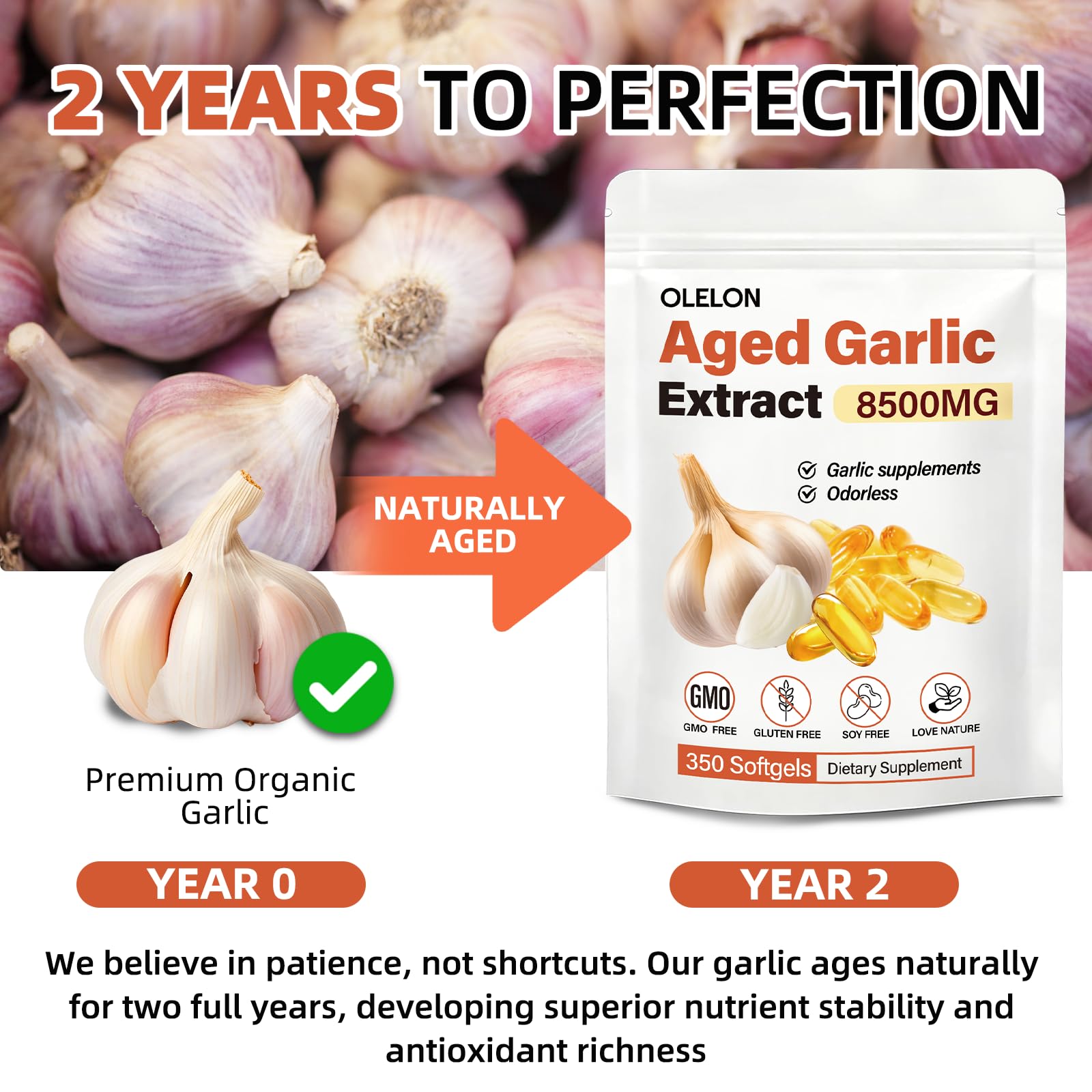 OLELON Aged Garlic 350 softgels showing the high potency odorless supplement facts label details