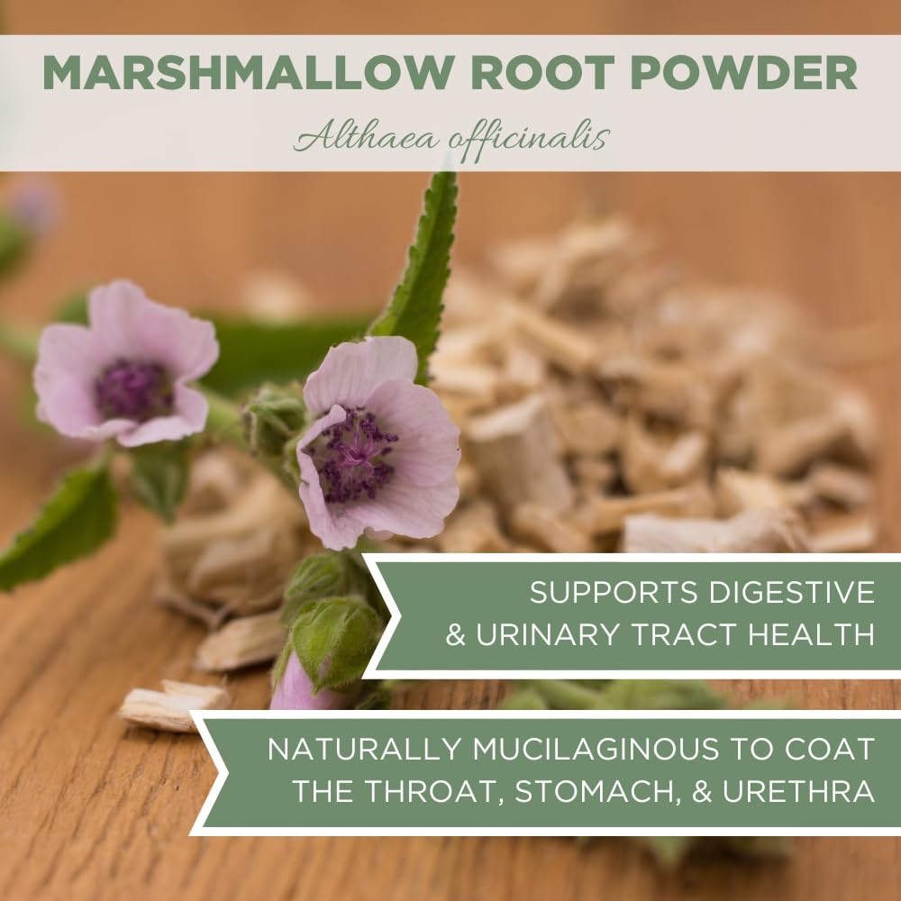 Close up of Elanen Naturals marshmallow root powder herbal health supplement