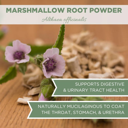 Close up of Elanen Naturals marshmallow root powder herbal health supplement