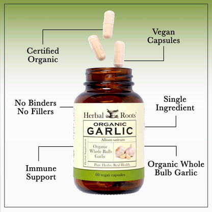 Six hundred milligram organic whole bulb garlic pills vegan capsule close up