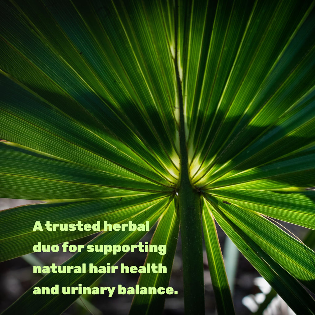 Two-in-one formula graphic detailing the 45 percent fatty acids standardization of saw palmetto extract
