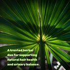 Two-in-one formula graphic detailing the 45 percent fatty acids standardization of saw palmetto extract