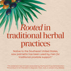 Nature's Way Saw Palmetto Berries back label displaying supplement facts and daily dosage guidelines.