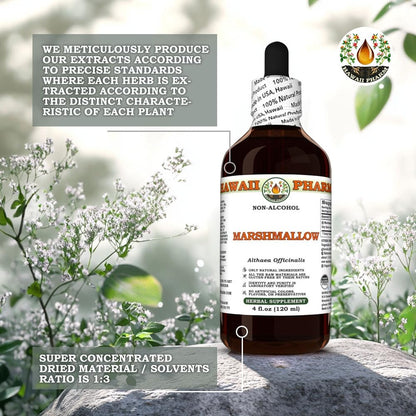 Close up of Hawaii Pharm marshmallow root glycerite packaging