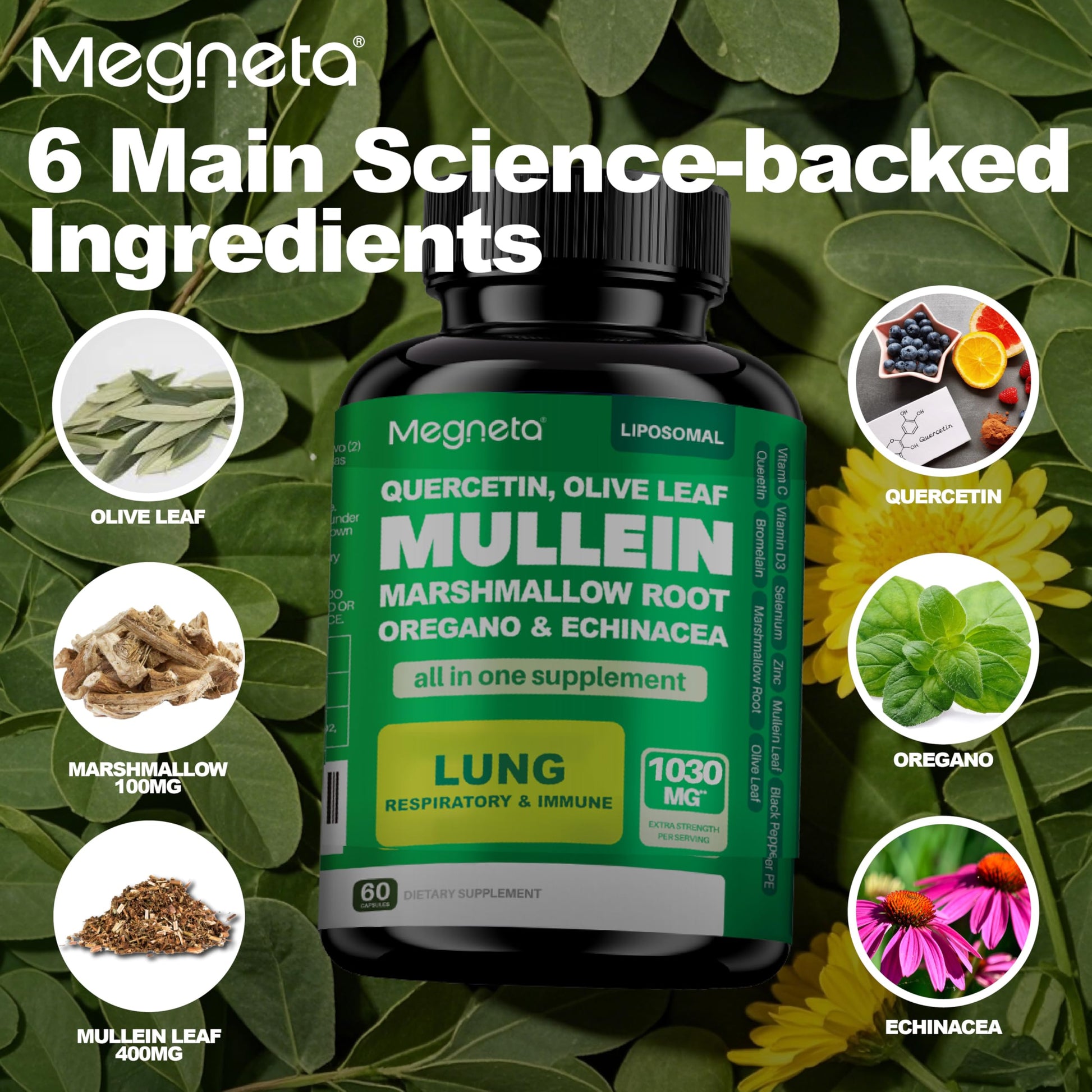 Close up of Megneta Mullein Leaf and Olive Leaf capsule bottle