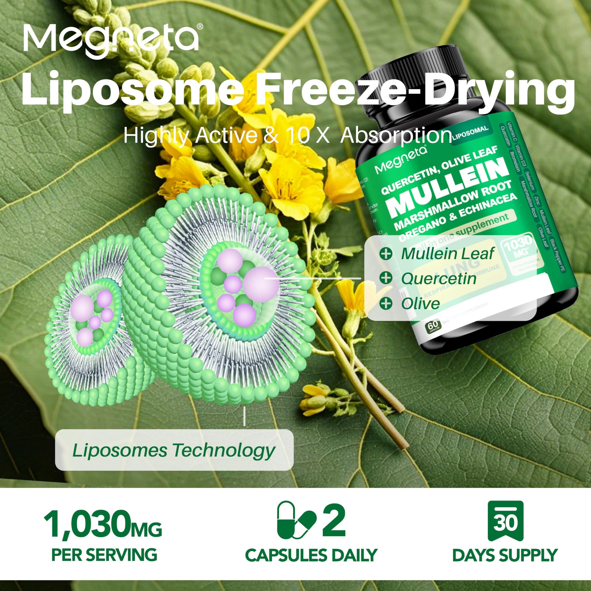 Megneta Lung Health Support packaging showing ingredients