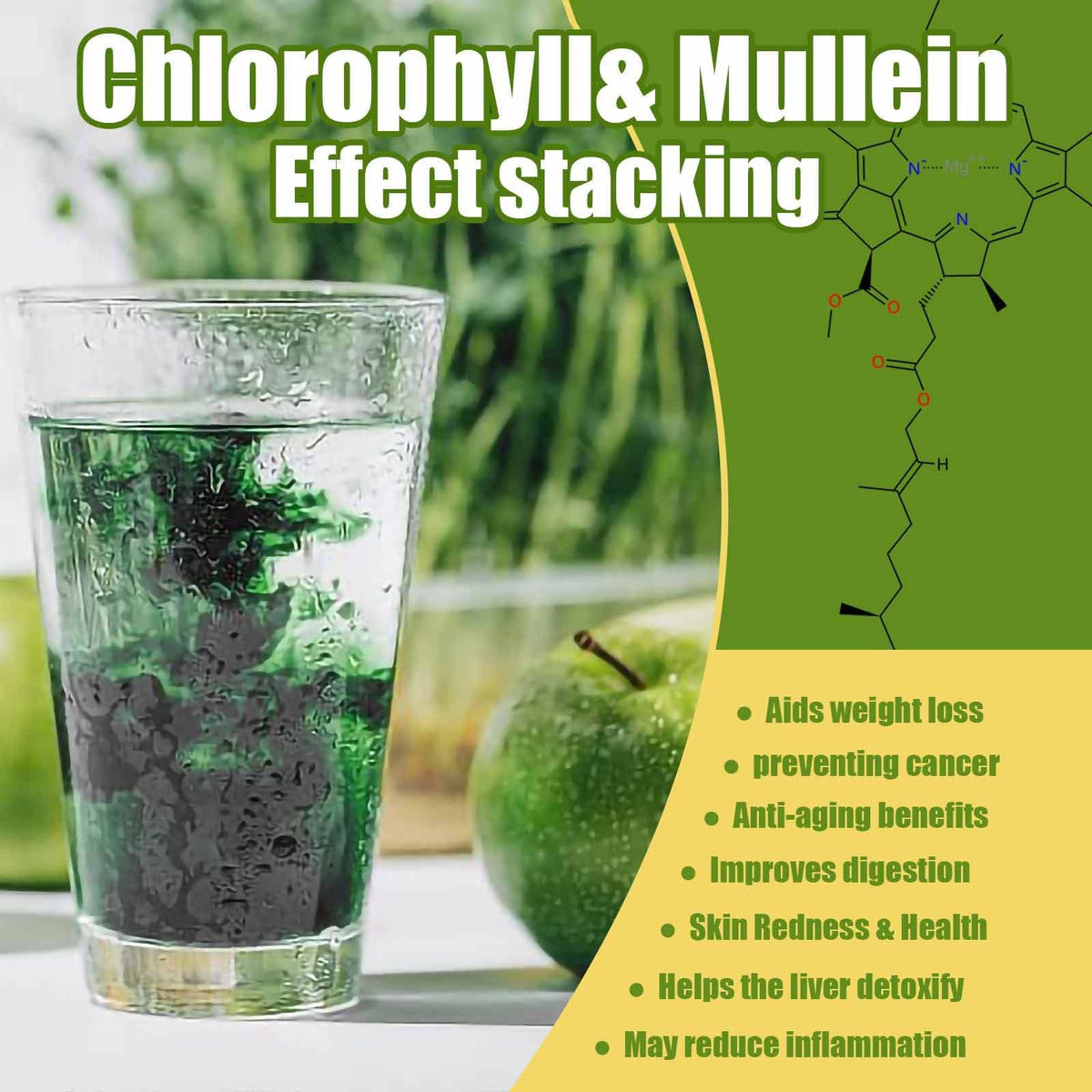 Close up of the herbal ingredients list on the back label of the two fluid ounce bottle