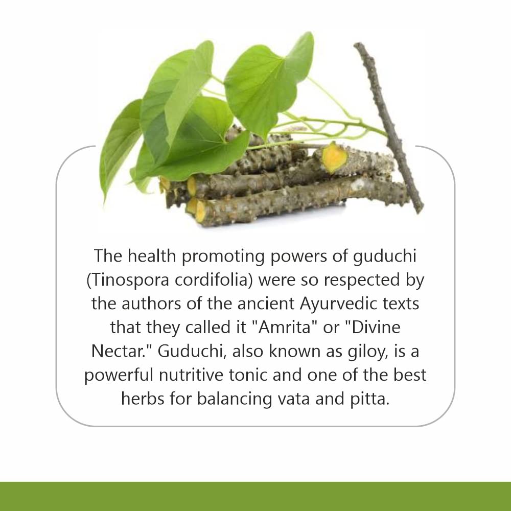 Herb Essential Guduchi Ayurvedic brain tonic powder back view with usage instructions