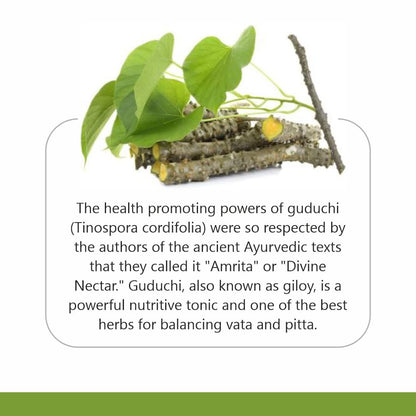Herb Essential Guduchi Ayurvedic brain tonic powder back view with usage instructions