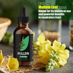 Full packaging view of the YUMOYI SPRUCE JIYIN chlorophyll and mullein herbal dietary supplement