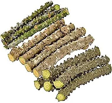 Authentic live Giloy climbing shrub cuttings ready for planting or herbal preparation