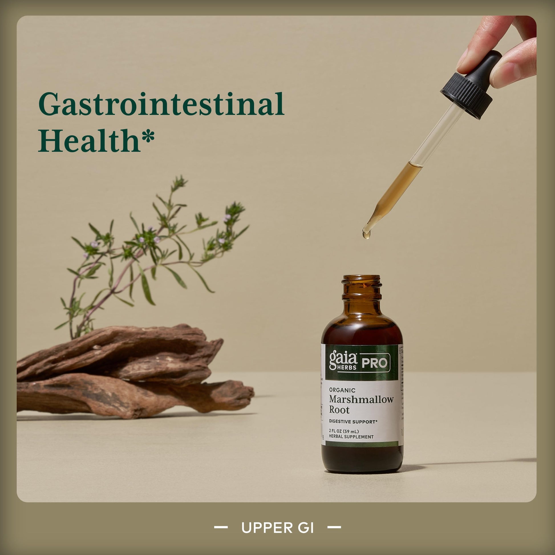 Gaia Herbs Pro digestive support supplement packaging