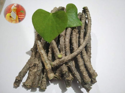 Pack of twenty natural immunity support Giloy sticks grown on Neem trees