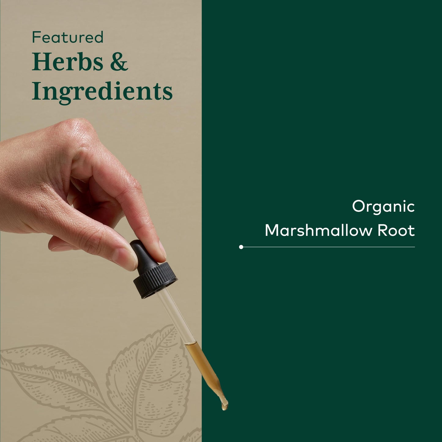 Authentic USA imported Marshmallow Root extract bottle