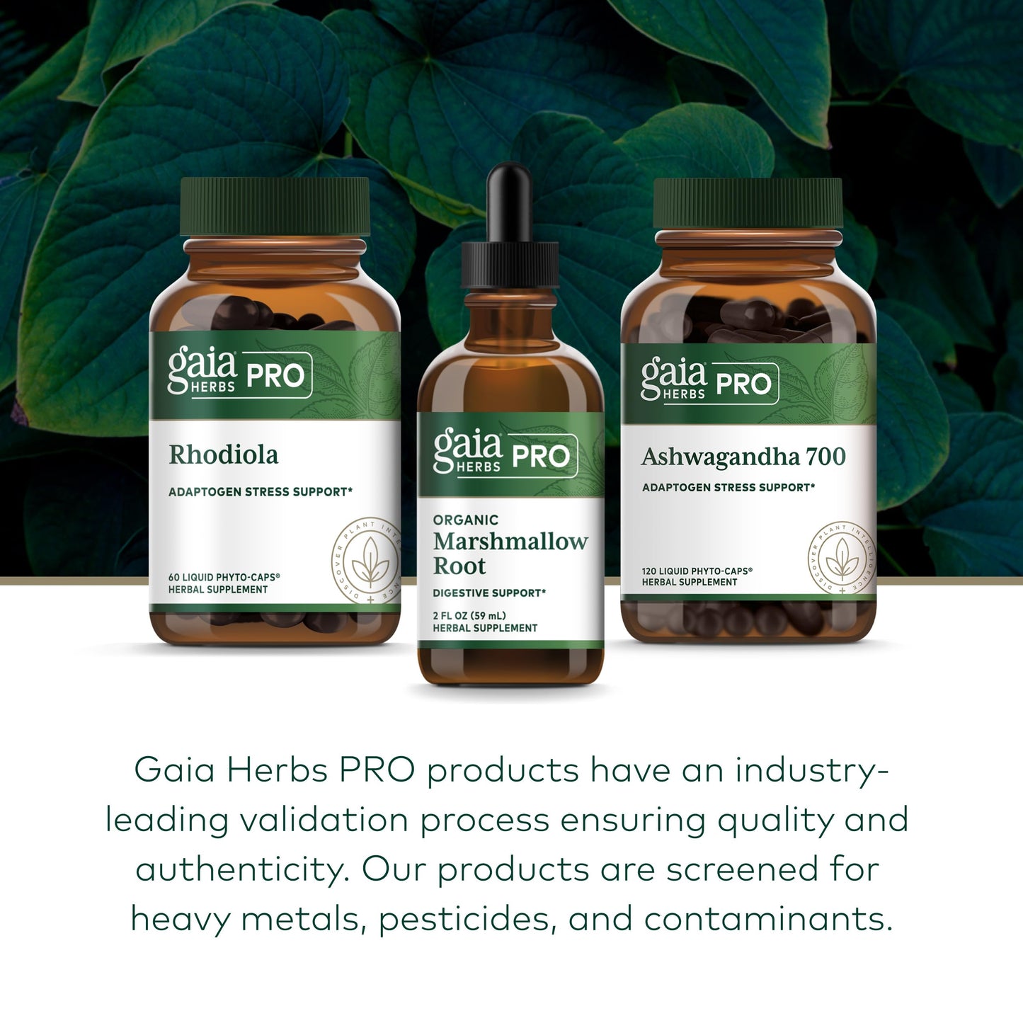 Side profile of Gaia Herbs organic liquid supplement bottle