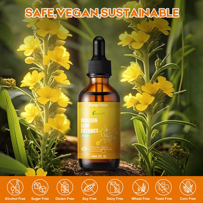 MaxuraFit Mullein and Cordyceps lung support drops bottle