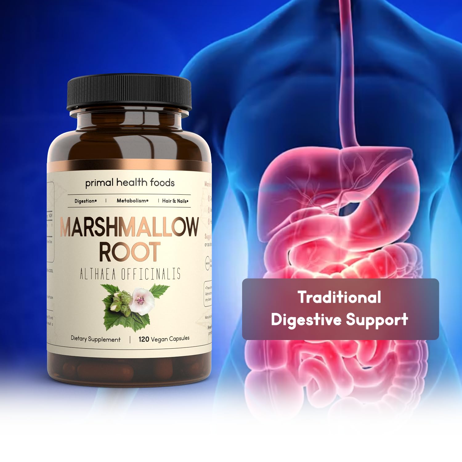 Supplement facts panel on Primal Health Foods marshmallow root bottle