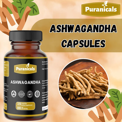 Puranicals Ashwagandha Premium root powder capsules displayed next to the product jar.