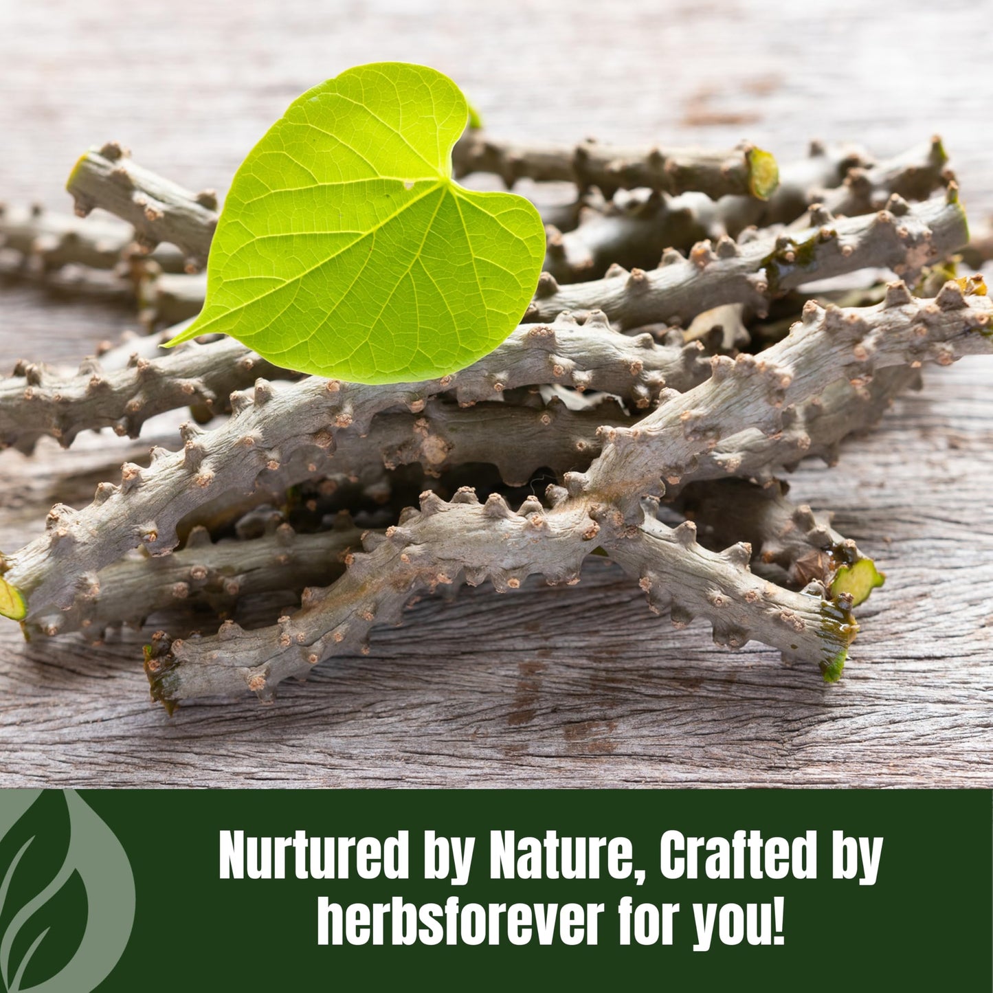 Natural plant based antioxidant supplement finely ground powder texture details