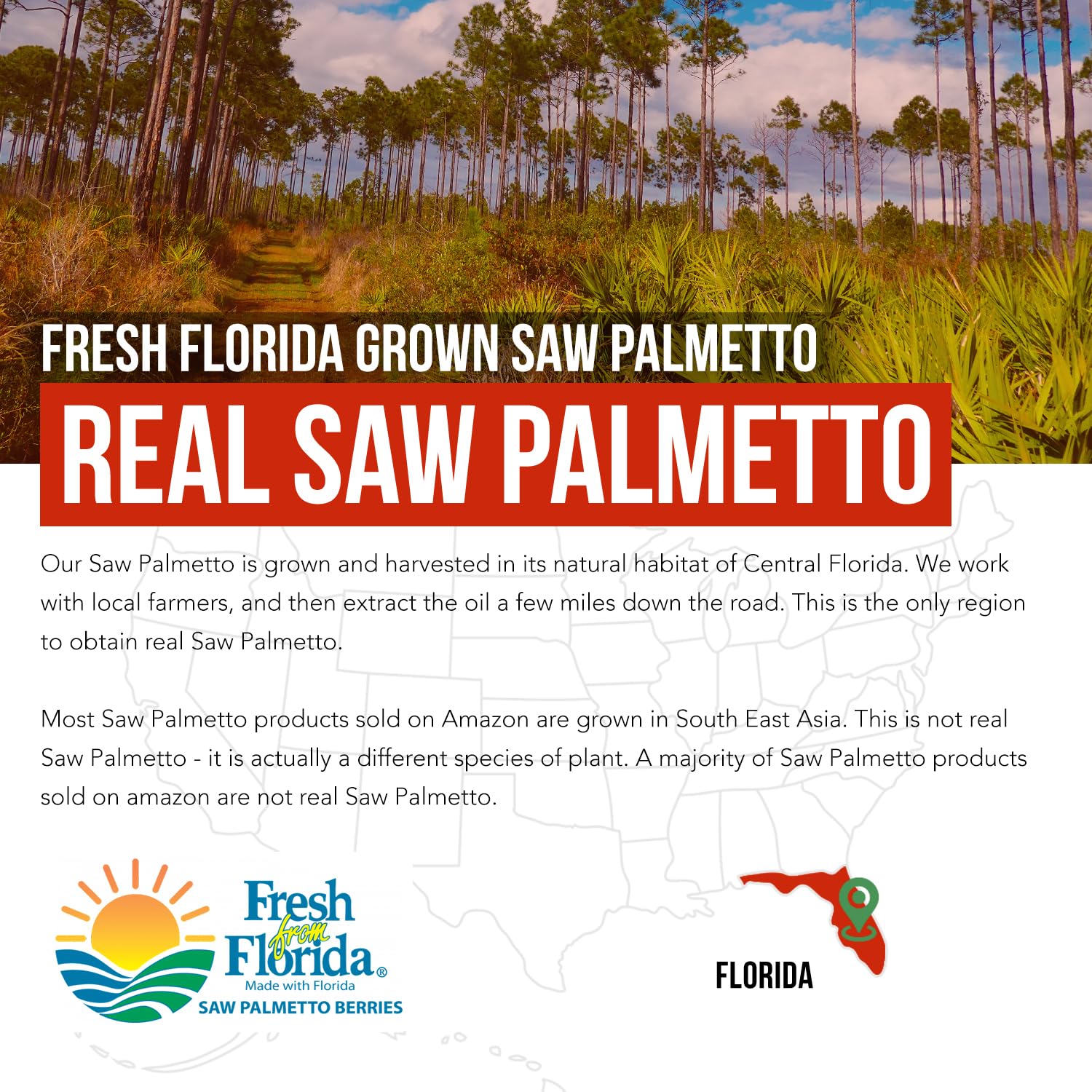Triquetra Health saw palmetto and pumpkin seed oil dual action blend packaging for urinary support.
