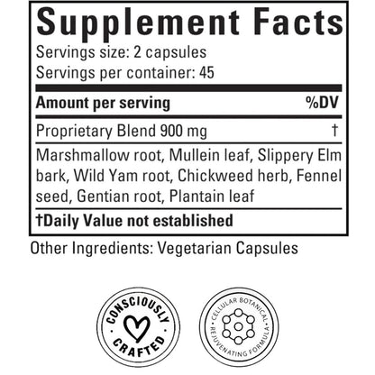 Doctor Morse's GI Daily 90 count supplement bottle