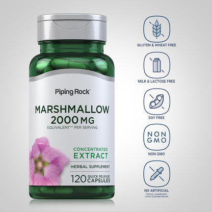 Close up of Piping Rock Marshmallow Root quick release capsules
