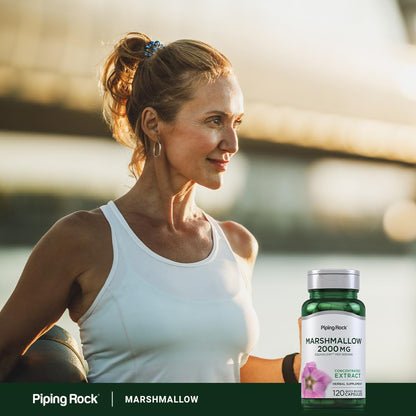 Educational view of Marshmallow Root herbal supplement benefits