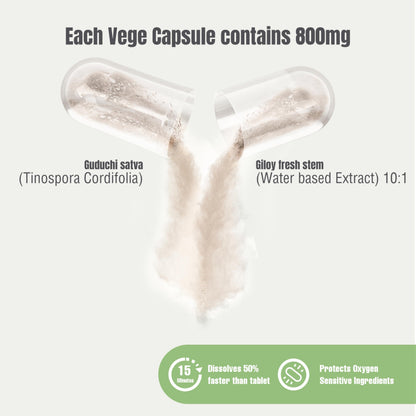 HerbsForever Giloy 10 to 1 concentrated extract supplement facts and ingredient label details